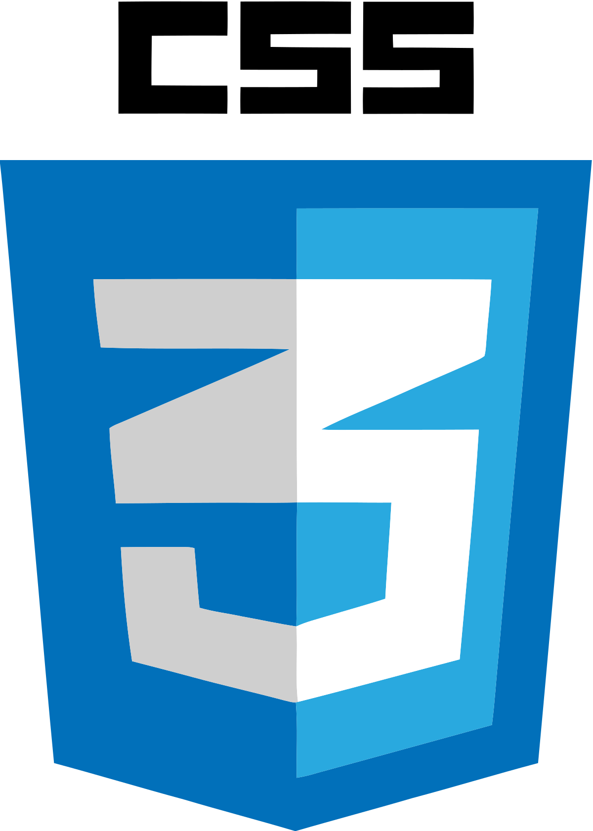 icone CSS