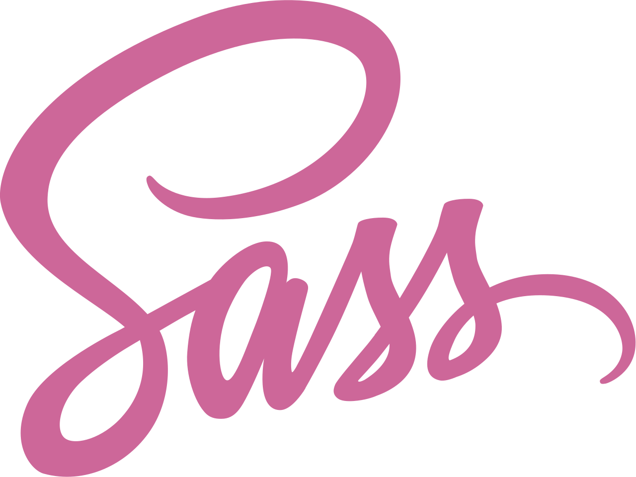 icone Sass